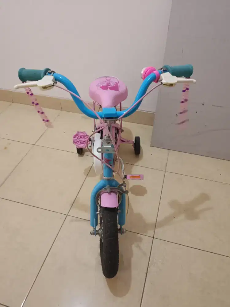 Sepeda Anak Preloved