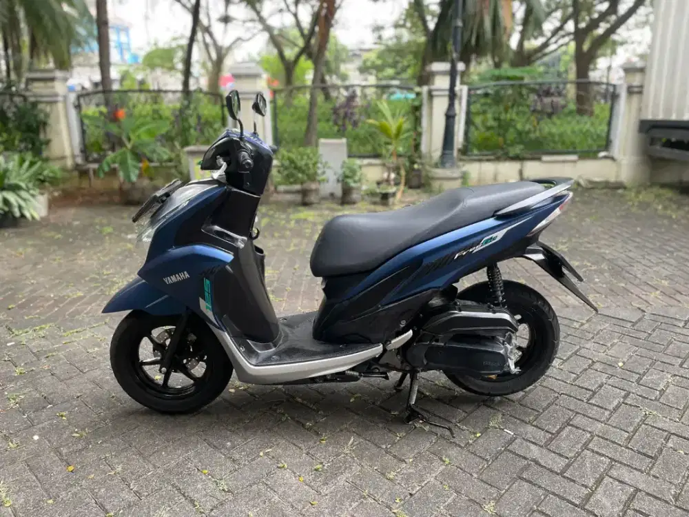 Freego 2024 Pajak Panjang