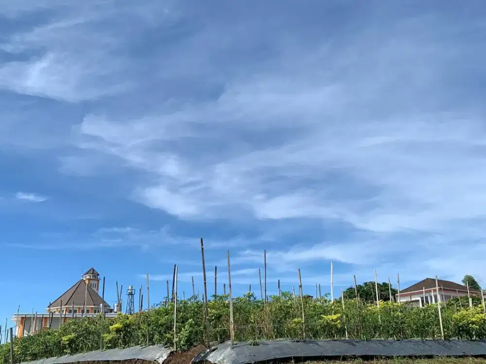 Tanah 189m SHM di Area Perumahan, Lingkungan Asri & Tenang