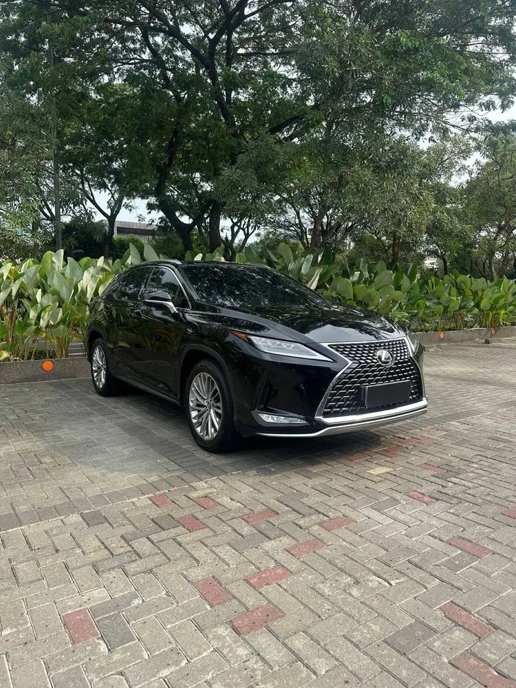 Lexus RX300 Luxury 2020 NIK 2020