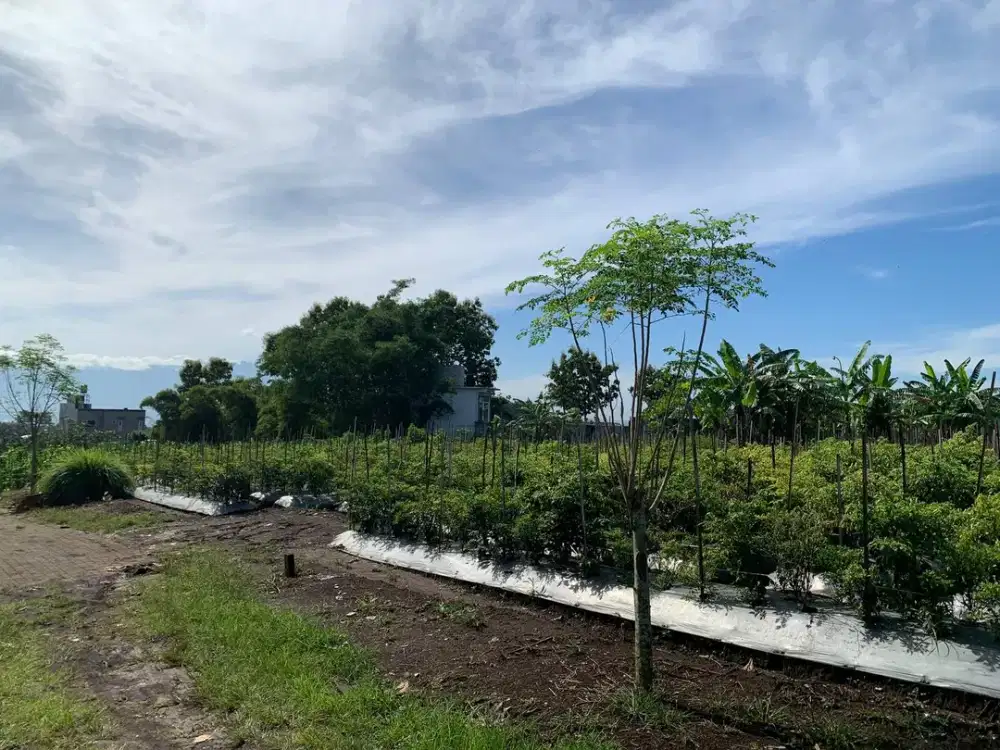 Tanah Kavling 189m SHM, Full View, Hunian Nyaman di Area Asri