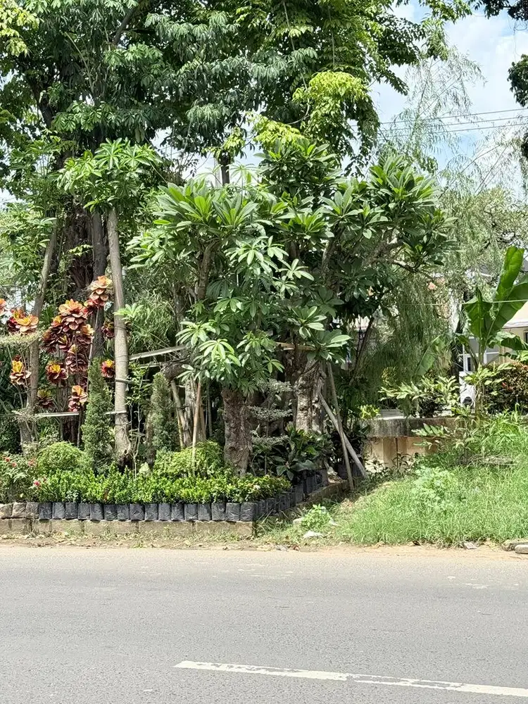 Dicari ART untuk urus orang sakit