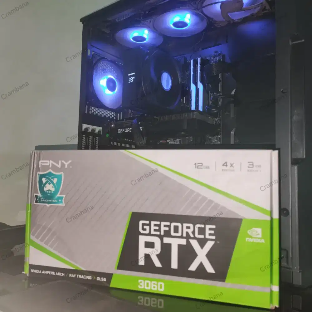 PNY RTX 3060 12GB GDDR6