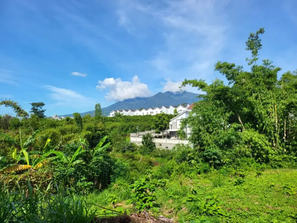 Tanah Murah Area Berkembang, SHM, Cocok untuk Hunian