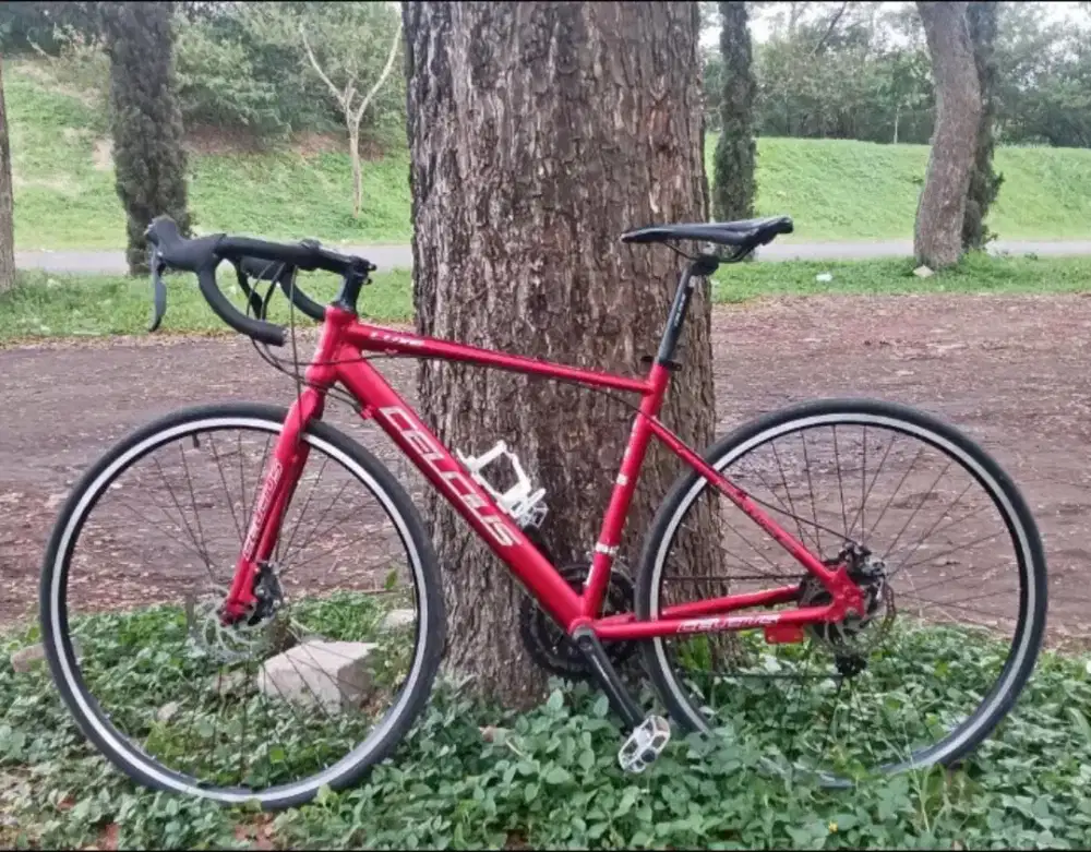 jual roadbike alloy