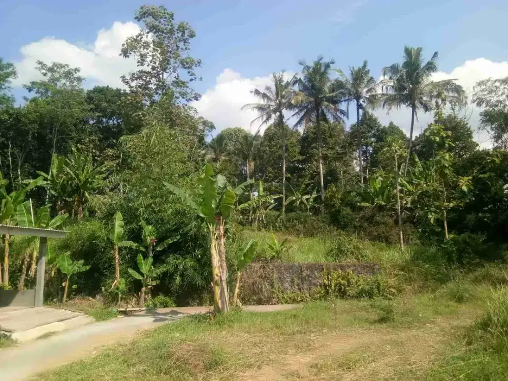 Jual Murah Tanah SHM di Tuntang Semarang view sawah dkt Salatiga