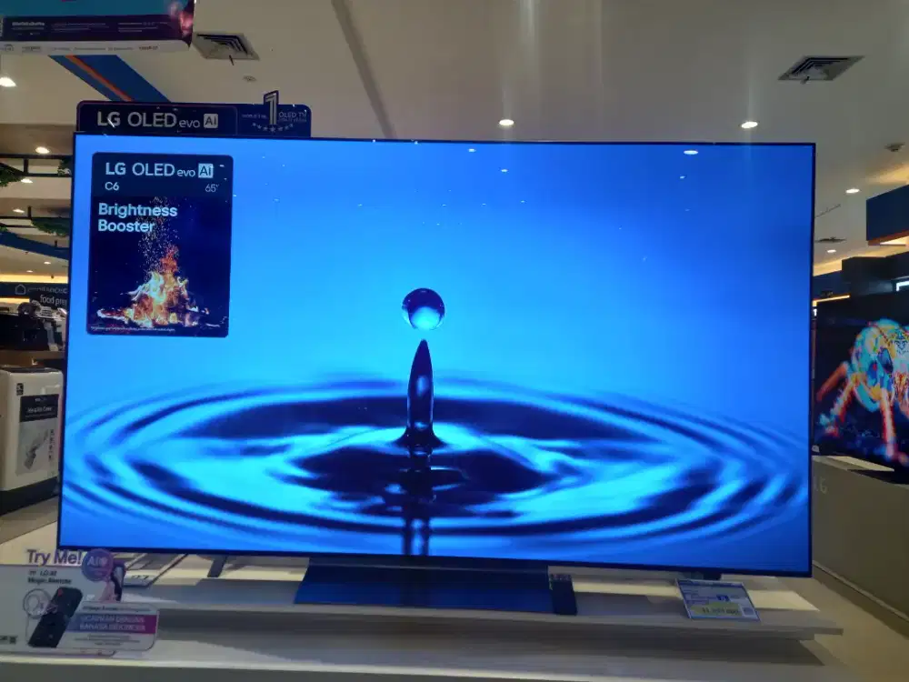 LG 4K OLED EVO TV 65