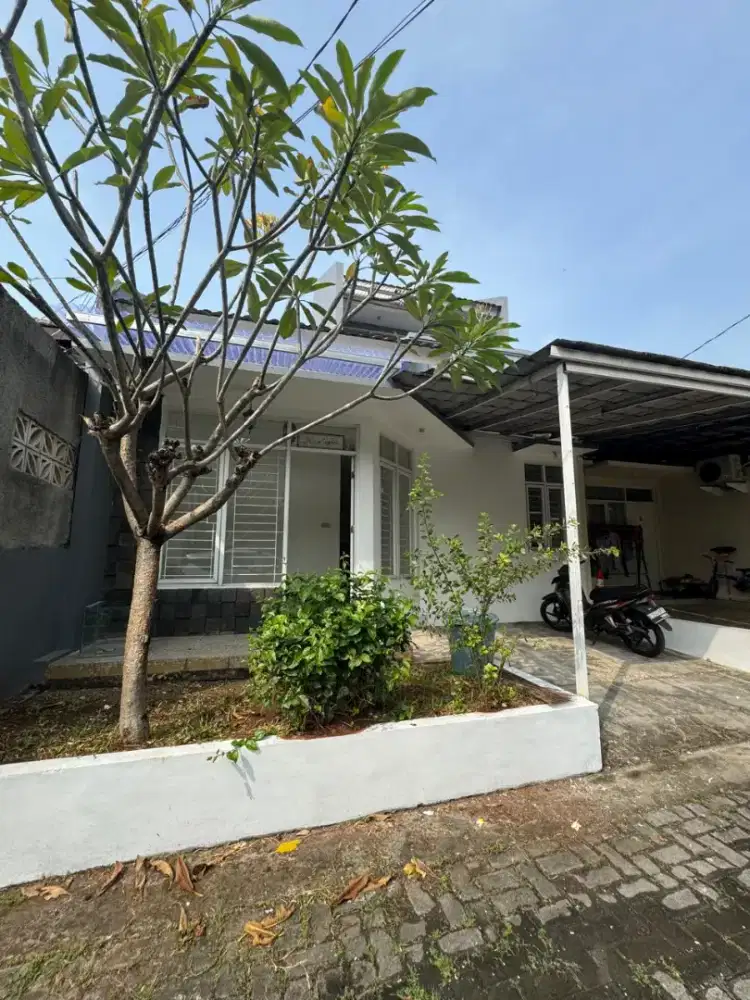 Dijual / dikontrakan tahunan rumah nyaman