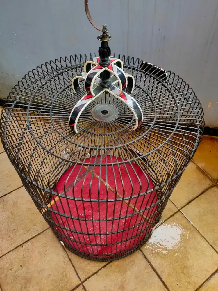 Kandang murai kokoh
