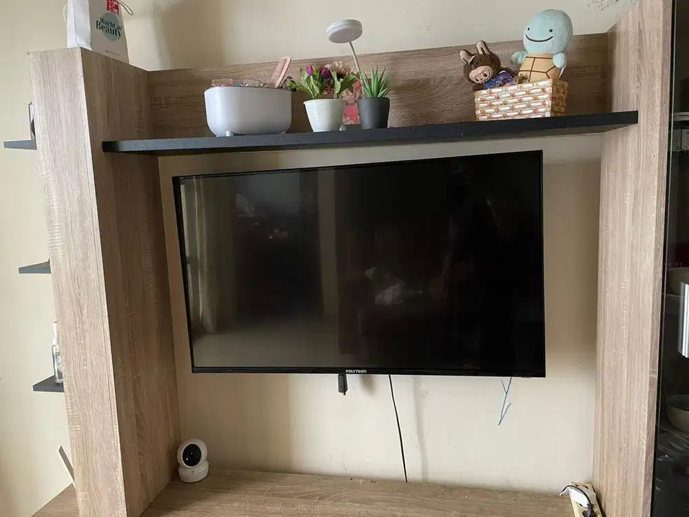 TV POLYTRON 43 INCH