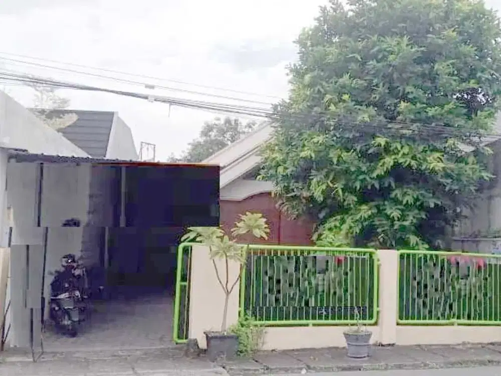 Dijual Rumah Usaha Kedung Sroko Tambaksari REV.A360