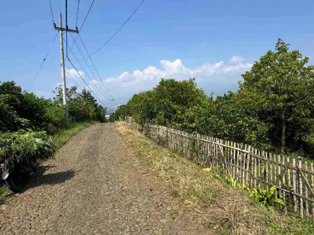 Kebun Durian Dan jaruk Kota Batu