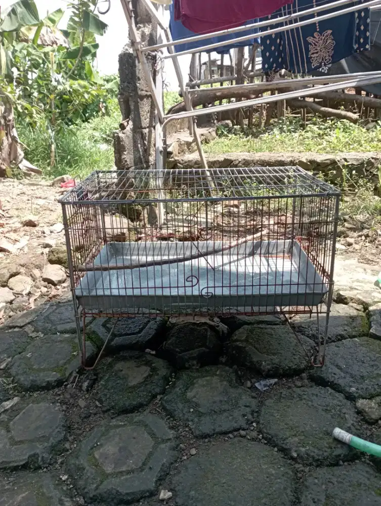 Kandang keramba mandi Burung