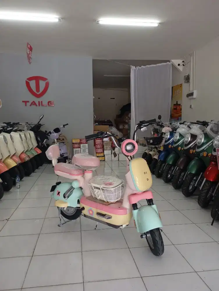 BAGUS SEPEDA LISTRIK