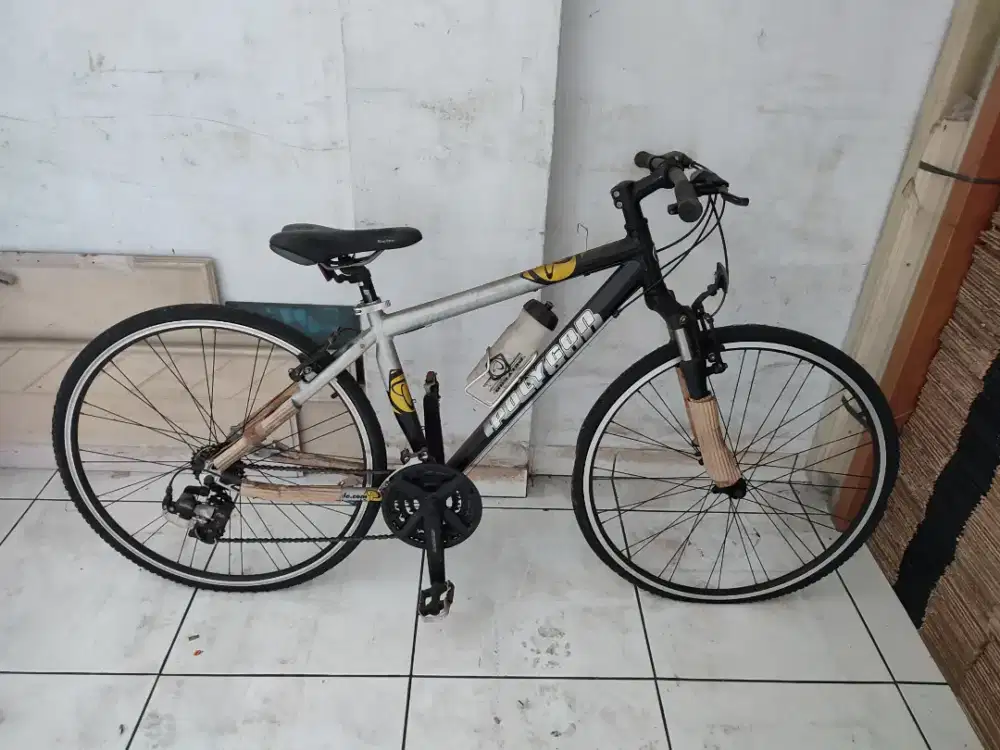 Sepeda polygon neo geometry