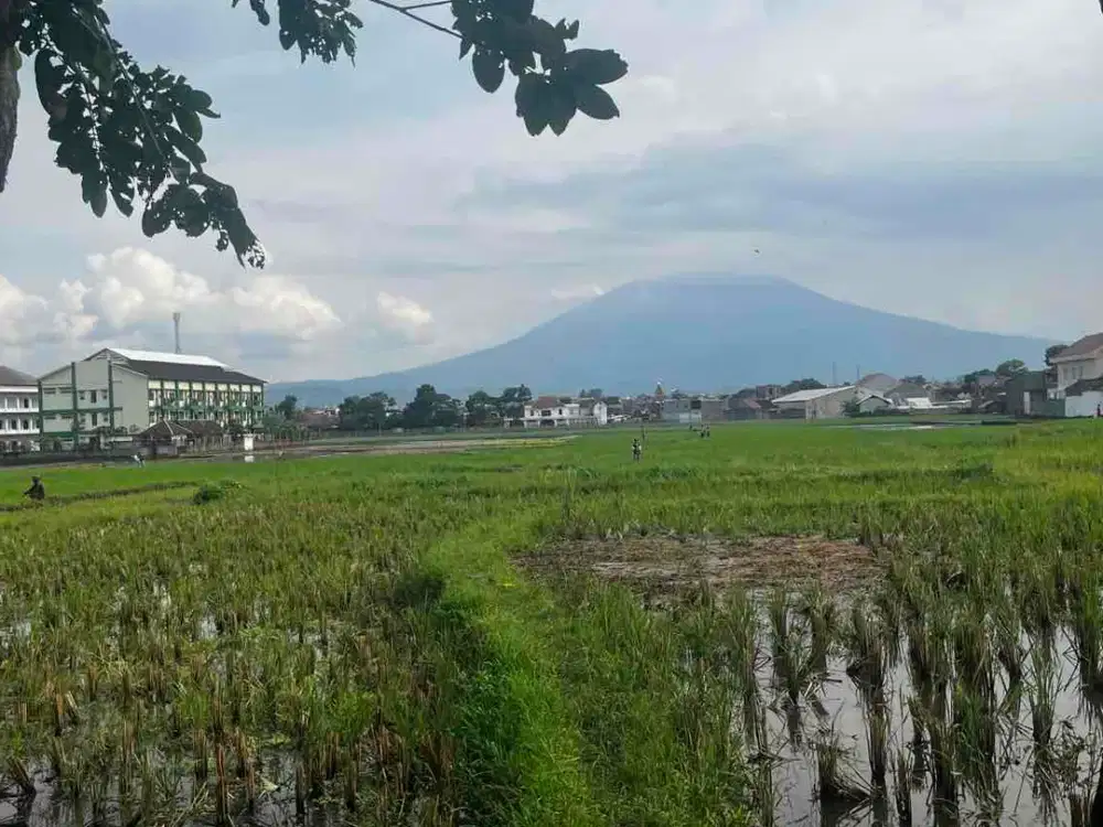 Jual Tanah deket jl terusan pembangunan Cocok untuk Gudang ataupun rumah