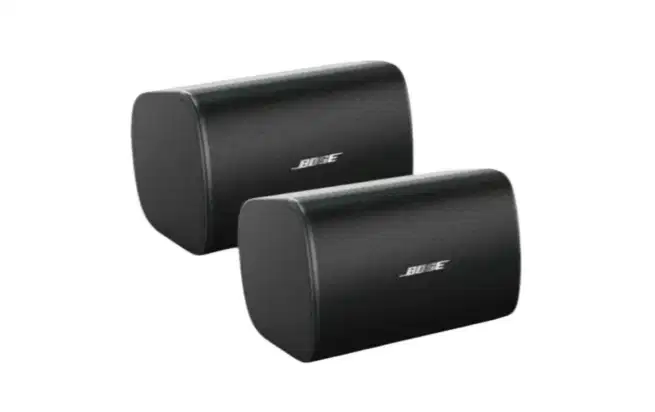 Speaker Music Bose Designmax Wall DM-6SE