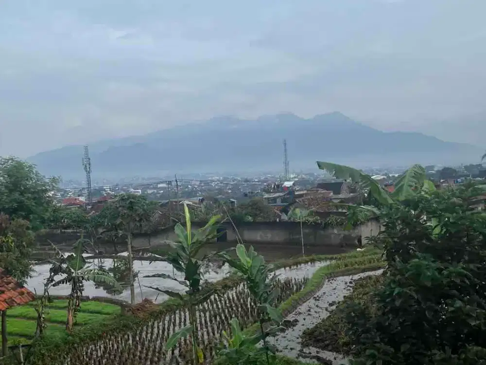 Jual Cepat Tanah 14 Tumbak Garut Kota View Bagus