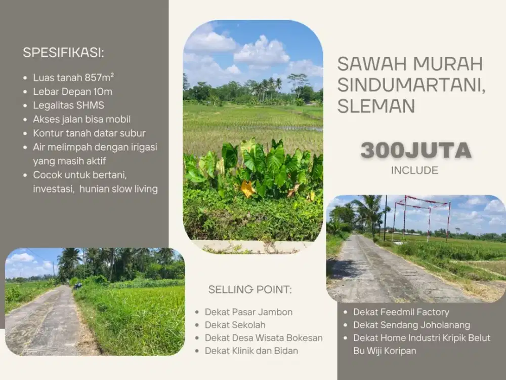 DIJUAL TANAH SAWAH MURAH DEKAT SENDANG JOHOLANANG