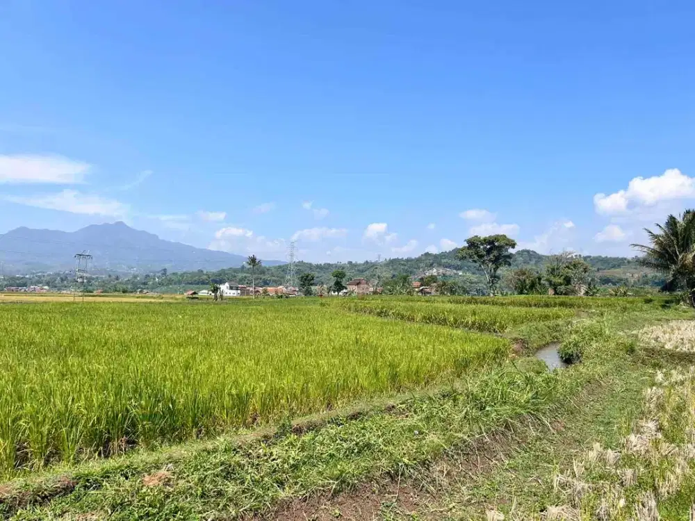 Jual Tanah untuk Gudang di Jl di Gobing Kh Anwar Musaddad Tarogong Garut Pinggir jalan