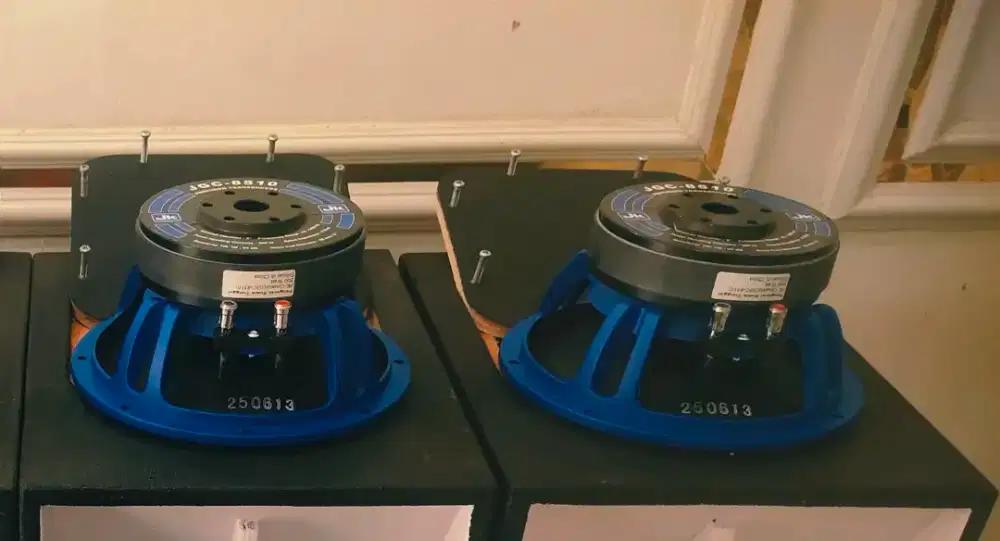 Speaker JKcoustic uk 8inc