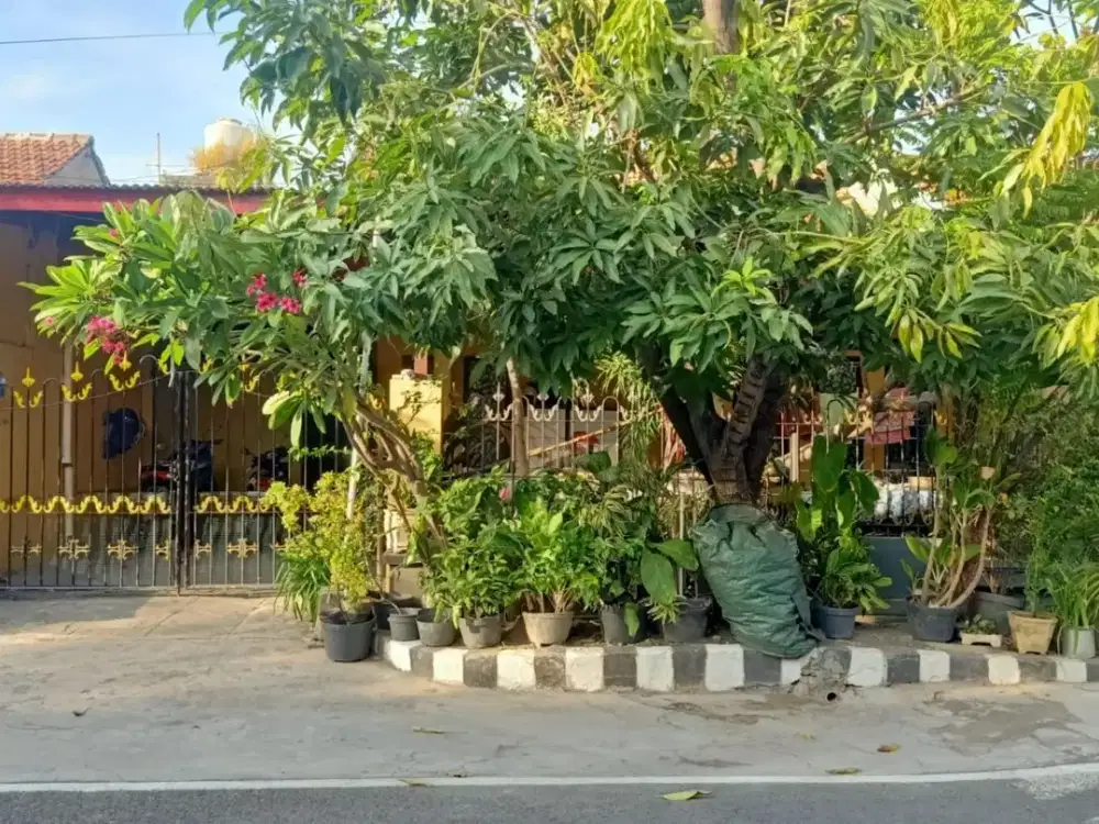 Dijual Rumah Rungkut Asri MERR UPN Rungkut REV.A372