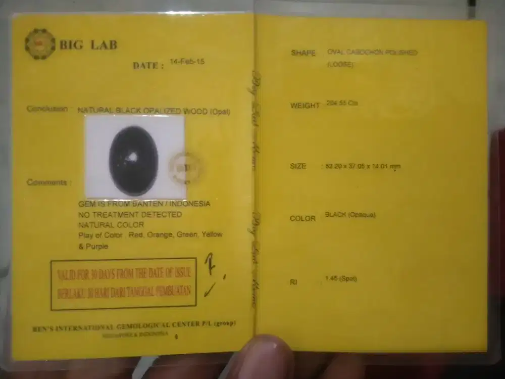 Di jual big sizes kalimaya Bo banten