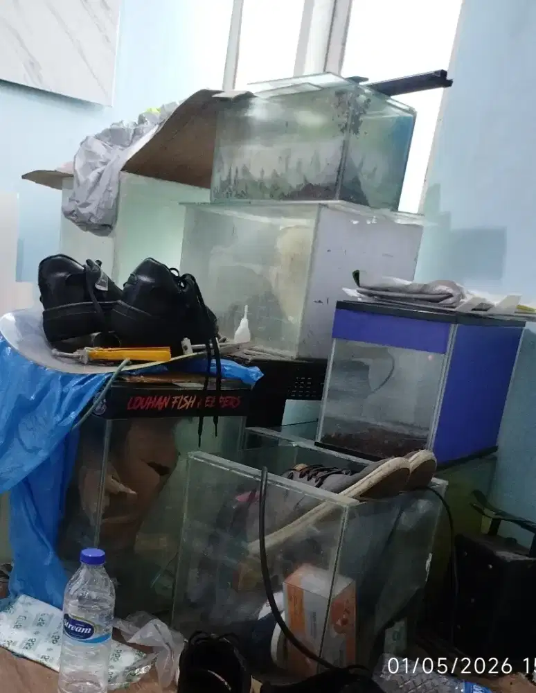 Akuarium aquarium