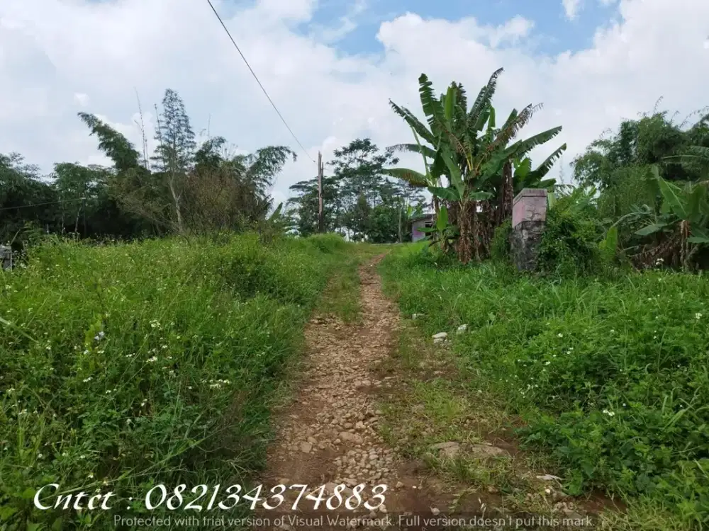 Tanah Luas dijual di Tampingan, Boja, Kendal, Jawa Tengah, Lt 3-5 ha
