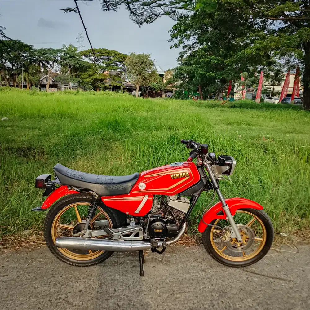 RX king cobra 1991