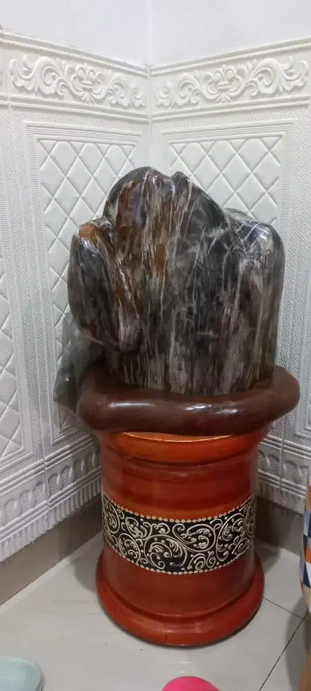 batu fosil kayu (petrified wood)