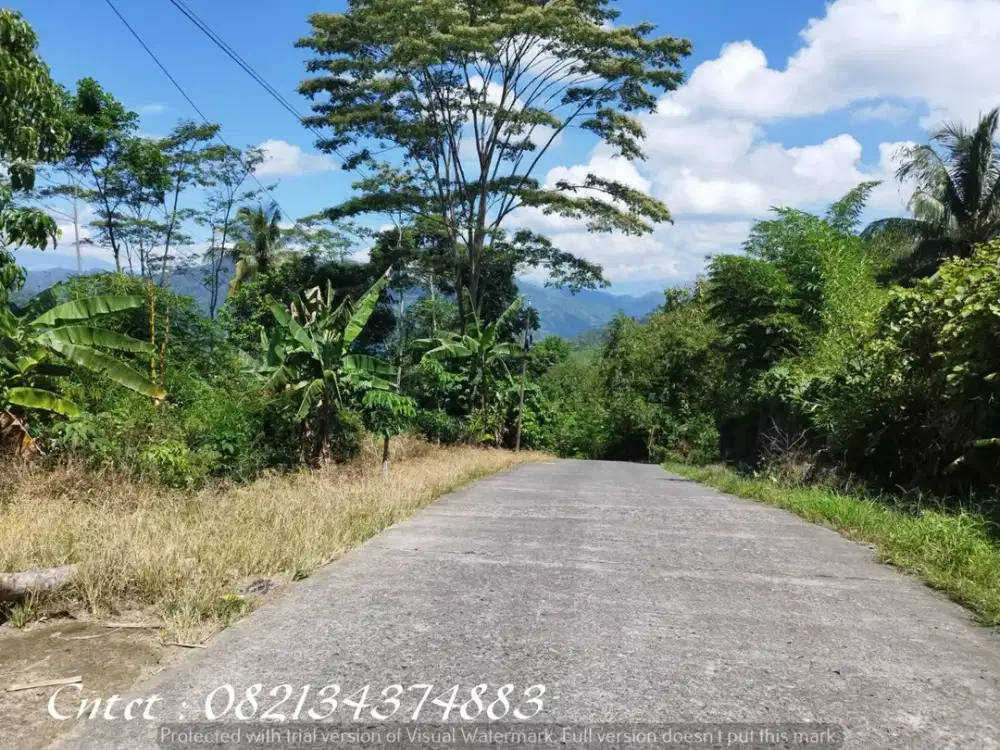 Dijual tanah luas, murah di kedungboto Kendal Jateng, harga 195ribuan/m2 (Nego)