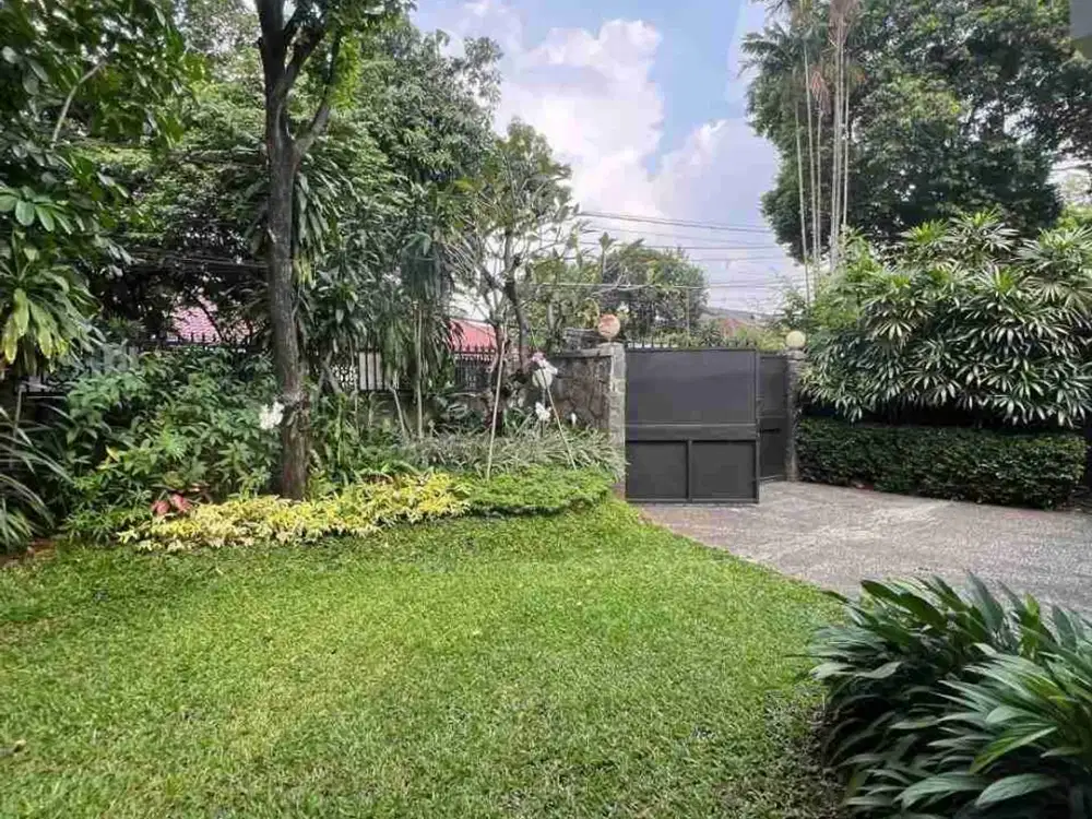 Disewa Rumah Kemang Jl. Bungur Ada Swimming Pool