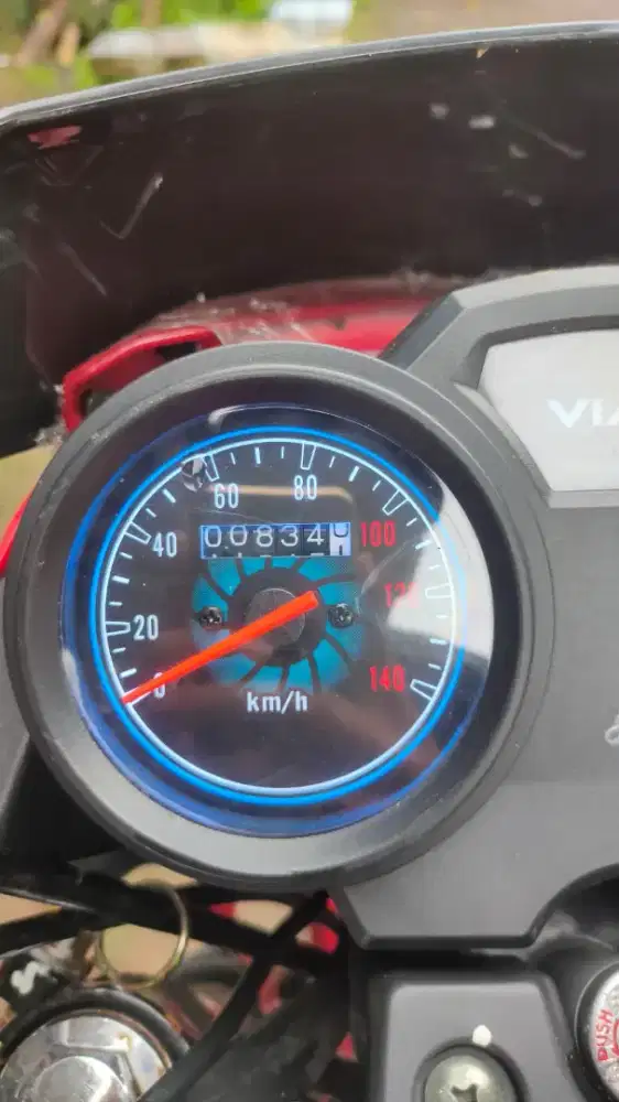 Viar karya 200 l