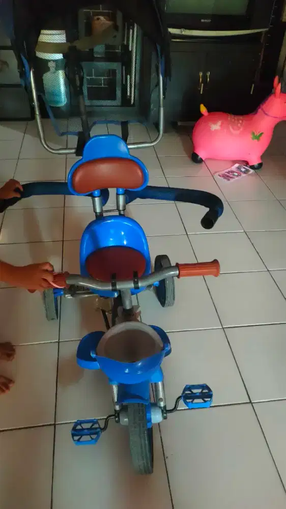 Sepeda excotic roda 3