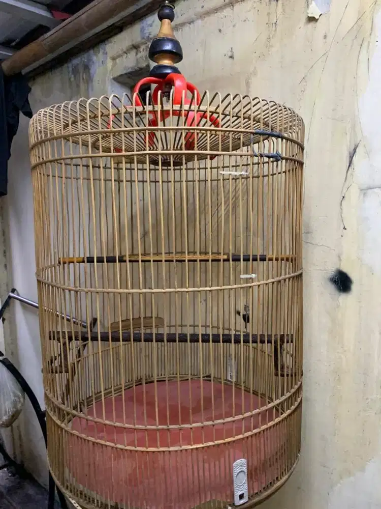 kandang burung -