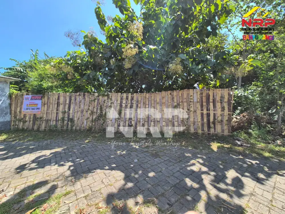 Dijual Tanah Kering Murah di Klatak - Banyuwangi