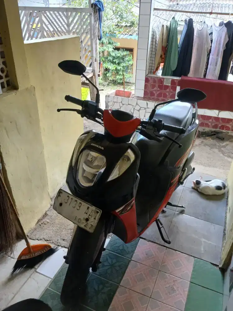 Honda genio 2022