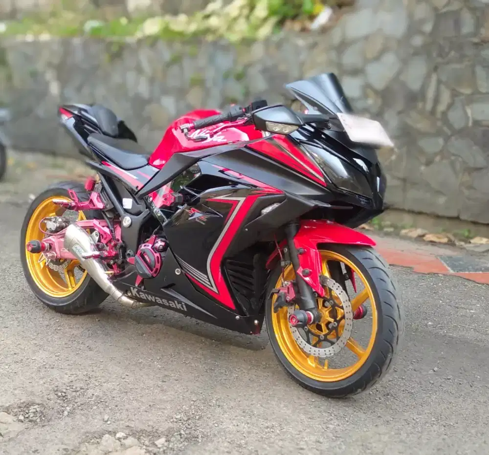 Ninja 250 Fi SE 2015 Ful Modif hedon