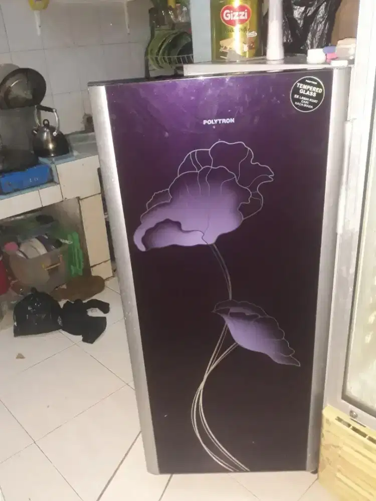 Lemari es polytron
