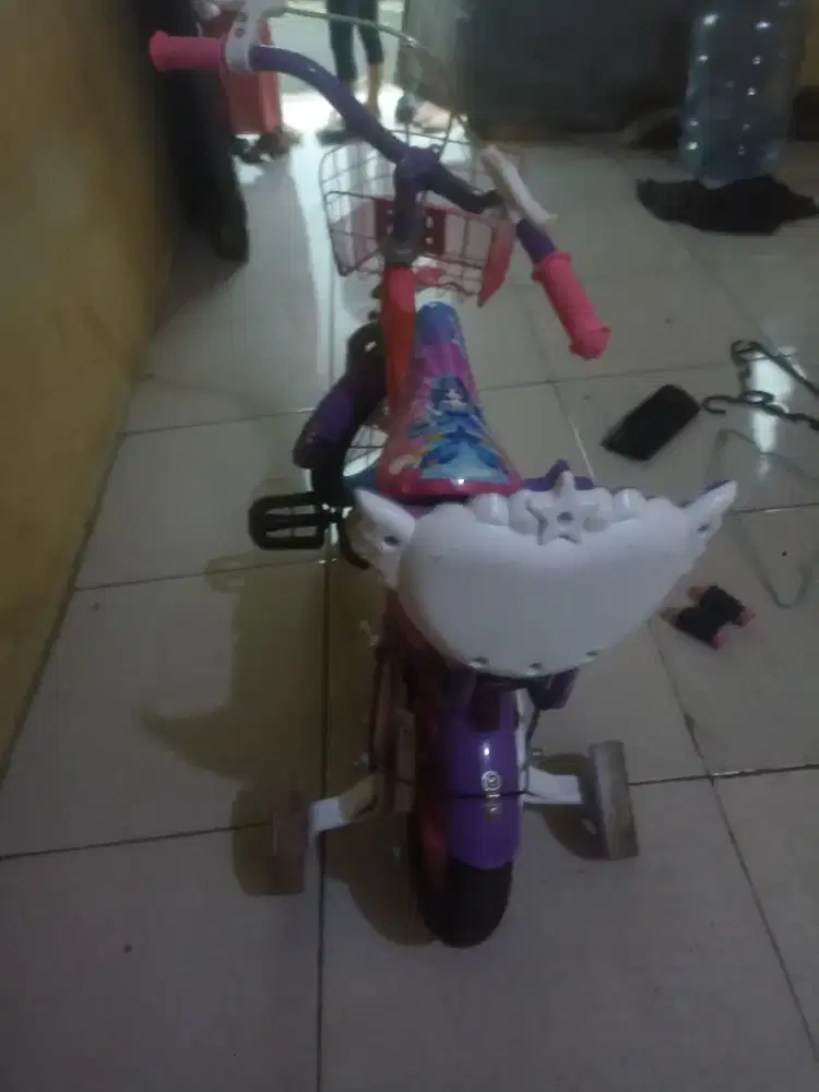 Sepeda anak anak
