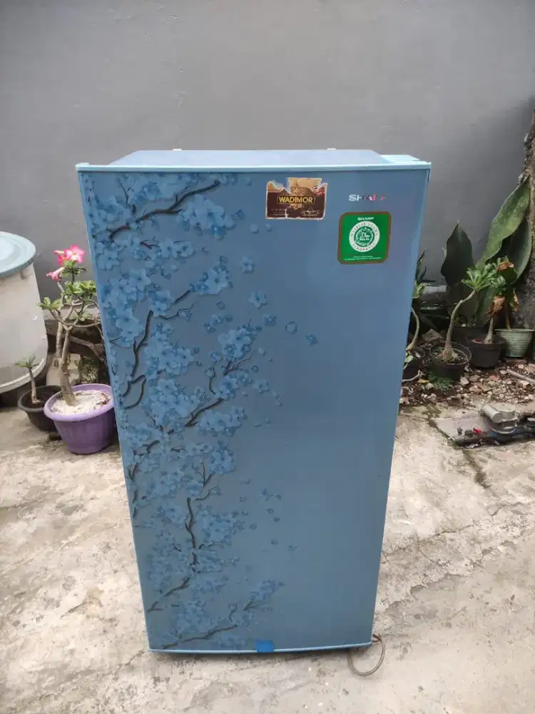 Kulkas 1 pintu shrap