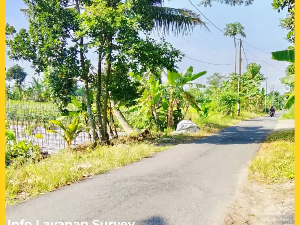 Tanah Mangku Jl Aspal View Sawah Cocok Usaha SHM Pekarangan