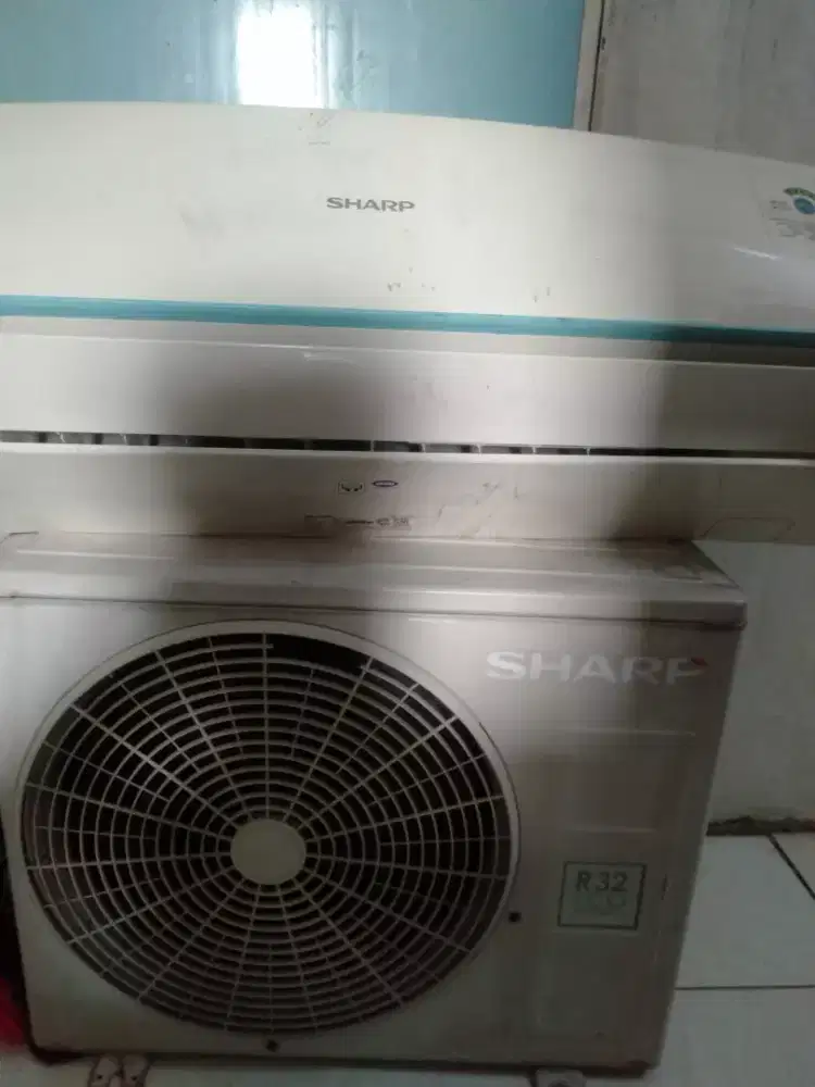 AC Sharp 1/2pk original