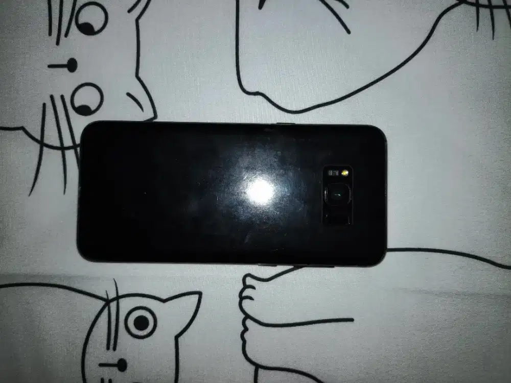 Samsung S8+ 4/64