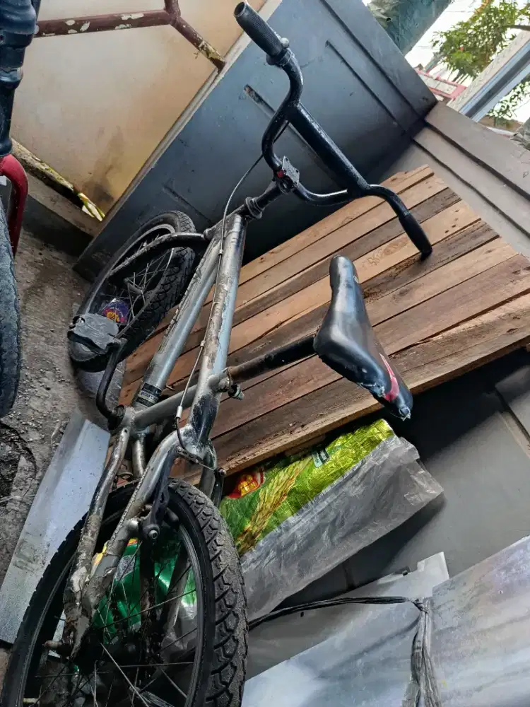 Sepeda anak wim cycle