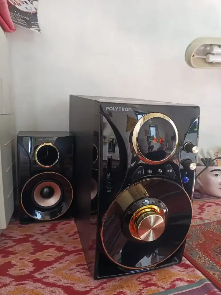 Speaker Polytron PMA9310/BG