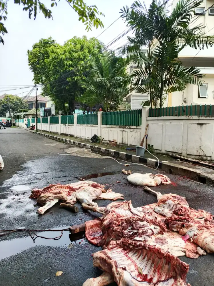 Tim jagal Betawi execution