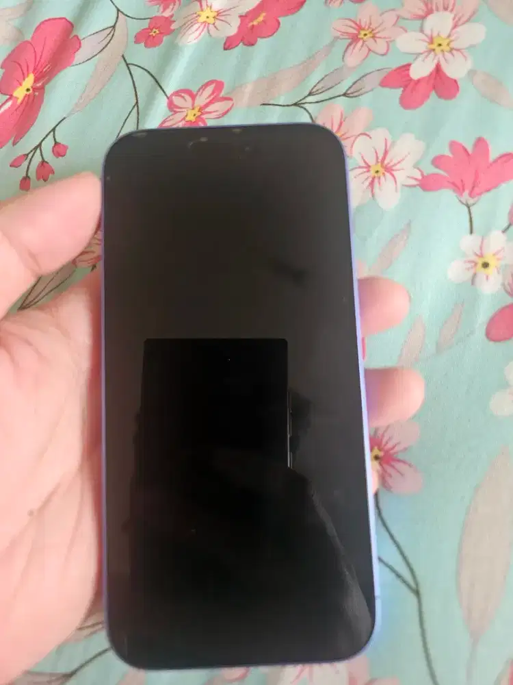 Dijual Iphone 16 basic blue