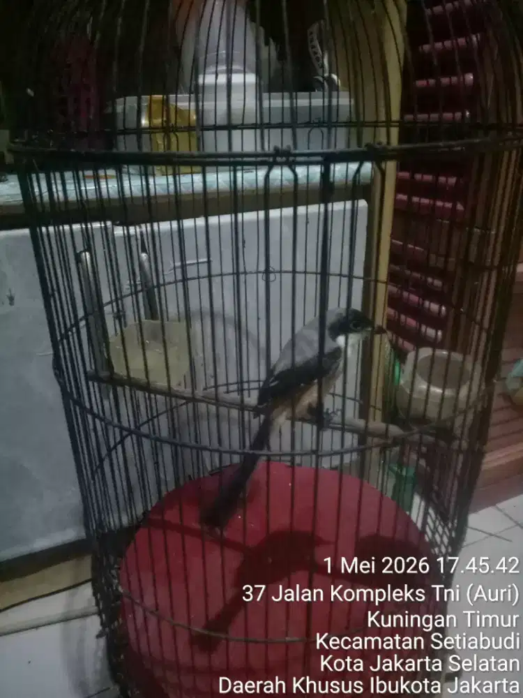 JUAL SANTAI SAMBIL NGOPI